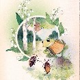 Cartolina